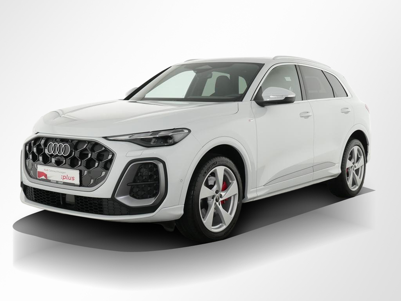 Audi Q5 2.0 TDI quattro S-line Pano/Kamera/LED/Alu-20 — photo 15