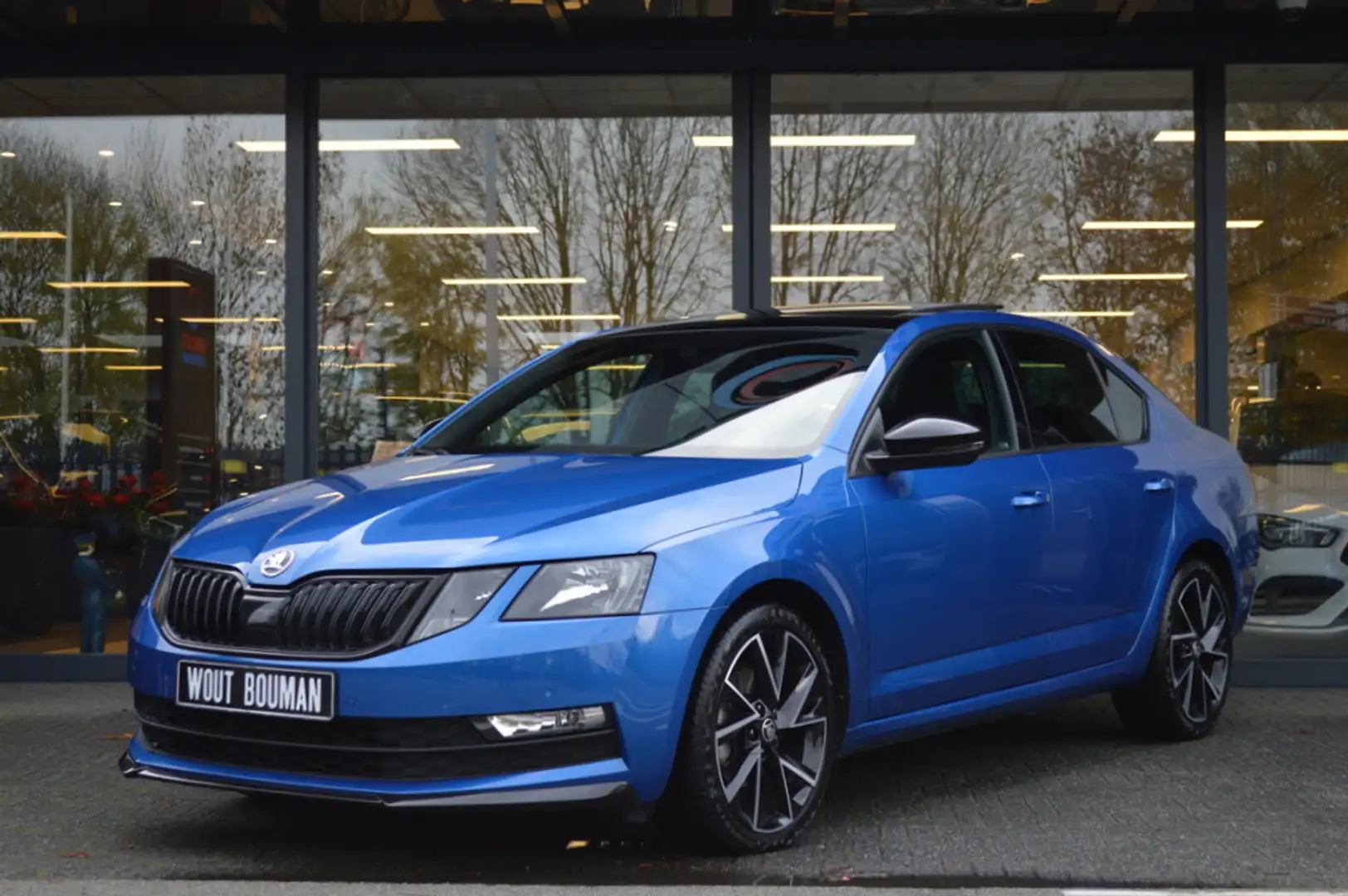 Skoda Octavia 1.0 TSI Greentech Sport Business Panorama Leder Ca Blau - 2