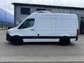 Mercedes-Benz Sprinter 316 CDI Lang Hoch Frischdienst Kerstner Blanc - thumbnail 3