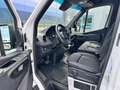Mercedes-Benz Sprinter 316 CDI Lang Hoch Frischdienst Kerstner Blanc - thumbnail 9