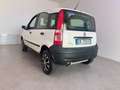 Fiat Panda 1.2 4x4 Bianco - thumbnail 15