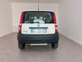 Fiat Panda 1.2 4x4 Bianco - thumbnail 14
