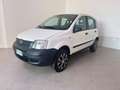 Fiat Panda 1.2 4x4 Bianco - thumbnail 3