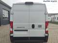 Fiat Ducato L3H2 2.2 MultiJet 140PS Tempomat-Klima-P... Weiß - thumbnail 4