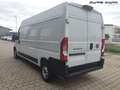 Fiat Ducato L3H2 2.2 MultiJet 140PS Tempomat-Klima-P... Weiß - thumbnail 5