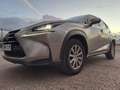 Lexus NX 300h NX 300h Corporate 2WD +Navibox Corporate + Navibox - thumbnail 3