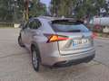 Lexus NX 300h NX 300h Corporate 2WD +Navibox Corporate + Navibox - thumbnail 6