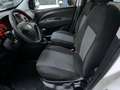 Fiat Doblo DOBLO' WORK-UP 1.3 MULTIJET 90 CV PREZZO PIU' IVA Bianco - thumbnail 10