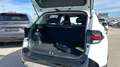 Kia Sportage 1.6 T-GDi MHEV Tech DCT 160 Blanco - thumbnail 17