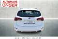 Ford Focus Turnier 1,0 EcoBoost Hybrid ST-Line Weiß - thumbnail 6