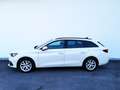 SEAT Leon SP Style 2,0 TDI Weiß - thumbnail 5