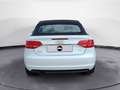 Audi A3 Cabrio 1.6 tdi Ambition Bianco - thumbnail 3
