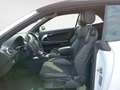 Audi A3 Cabrio 1.6 tdi Ambition Bianco - thumbnail 12