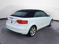 Audi A3 Cabrio 1.6 tdi Ambition Bianco - thumbnail 5
