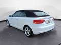 Audi A3 Cabrio 1.6 tdi Ambition Bianco - thumbnail 4