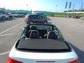 Audi A3 Cabrio 1.6 tdi Ambition Bianco - thumbnail 8