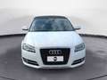 Audi A3 Cabrio 1.6 tdi Ambition Bianco - thumbnail 6