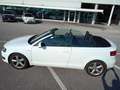 Audi A3 Cabrio 1.6 tdi Ambition Bianco - thumbnail 7