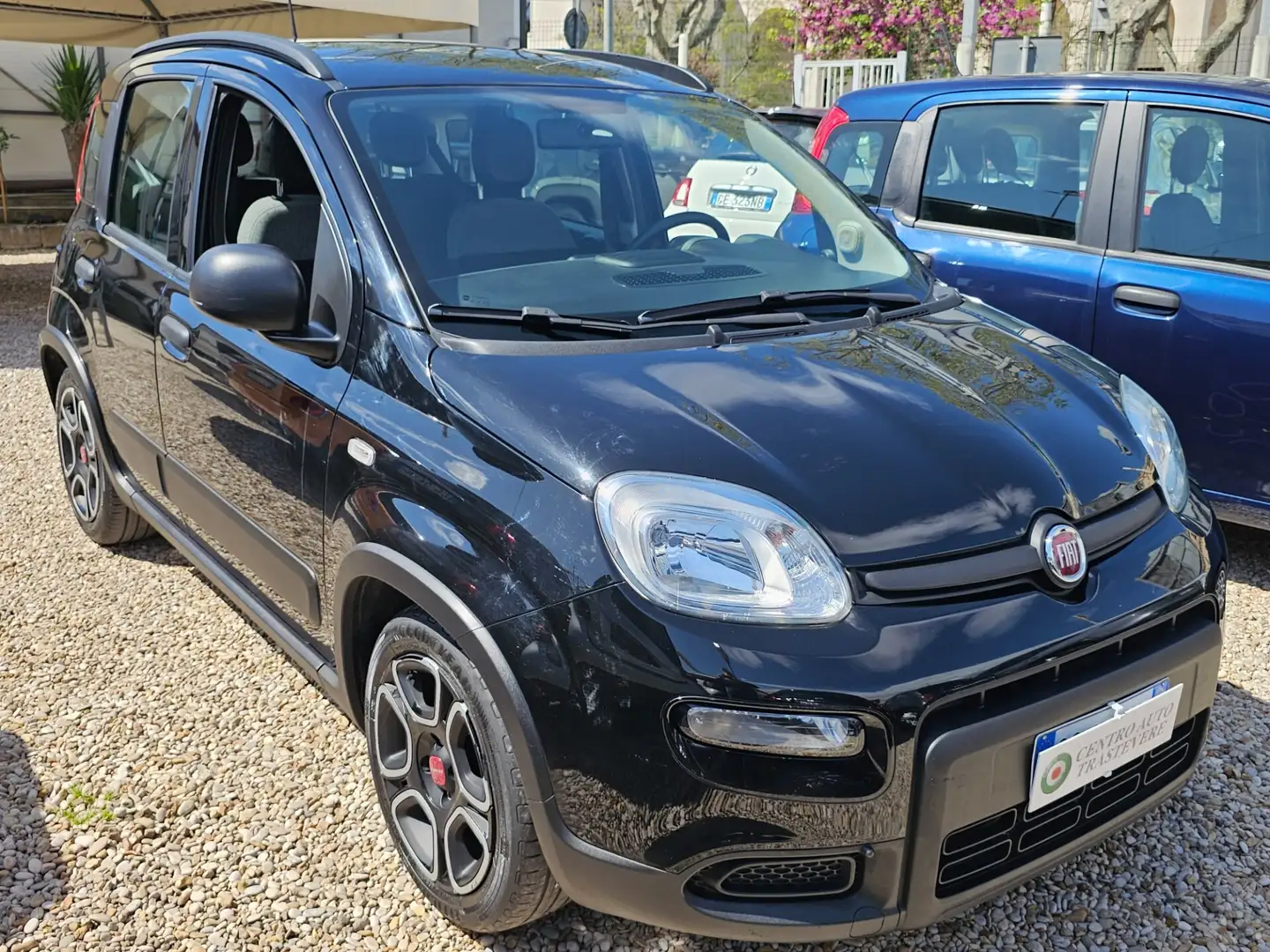 Fiat Panda 1.0 FireFly S&S Hybrid City Life Noir - 1