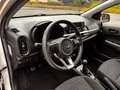 Kia Picanto 1.0 CVVT EconomyPlusLine |Nw APK|6 mnd garantie|Gr Wit - thumbnail 11