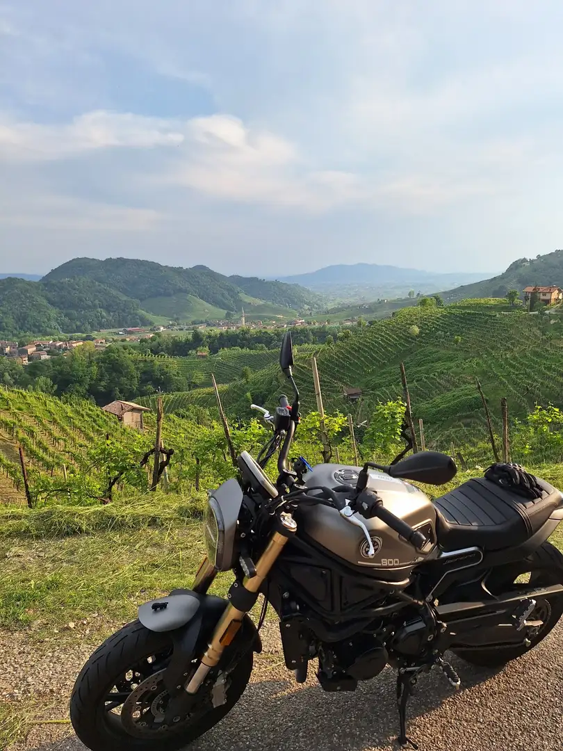 Benelli Leoncino 800 Grigio - 1