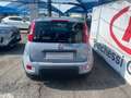 Fiat Panda Panda 1.0 FireFly S&S Hybrid - thumbnail 14