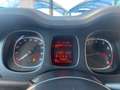 Fiat Panda Panda 1.0 FireFly S&S Hybrid - thumbnail 11