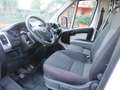 Fiat Ducato 35 MLH1  130 CV CASSSONE CASSONATO* Blanc - thumbnail 10