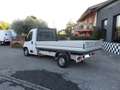 Fiat Ducato 35 MLH1  130 CV CASSSONE CASSONATO* Blanc - thumbnail 3