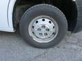 Fiat Ducato 35 MLH1  130 CV CASSSONE CASSONATO* Blanc - thumbnail 14