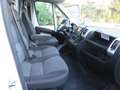 Fiat Ducato 35 MLH1  130 CV CASSSONE CASSONATO* Blanc - thumbnail 13