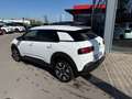 Citroen C4 Cactus C Series Weiß - thumbnail 7