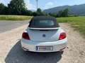 Volkswagen Beetle Beetle Cabrio 1,2 TSI Trendline Trendline Weiß - thumbnail 13