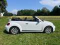 Volkswagen Beetle Beetle Cabrio 1,2 TSI Trendline Trendline Weiß - thumbnail 3