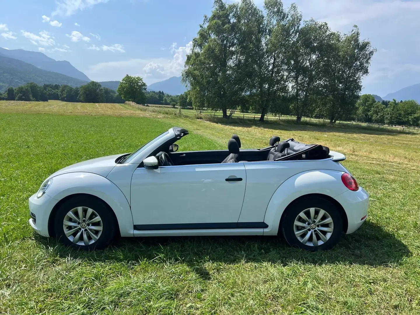 Volkswagen Beetle Beetle Cabrio 1,2 TSI Trendline Trendline Weiß - 1
