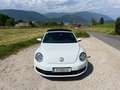 Volkswagen Beetle Beetle Cabrio 1,2 TSI Trendline Trendline Weiß - thumbnail 12