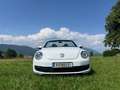 Volkswagen Beetle Beetle Cabrio 1,2 TSI Trendline Trendline Weiß - thumbnail 2