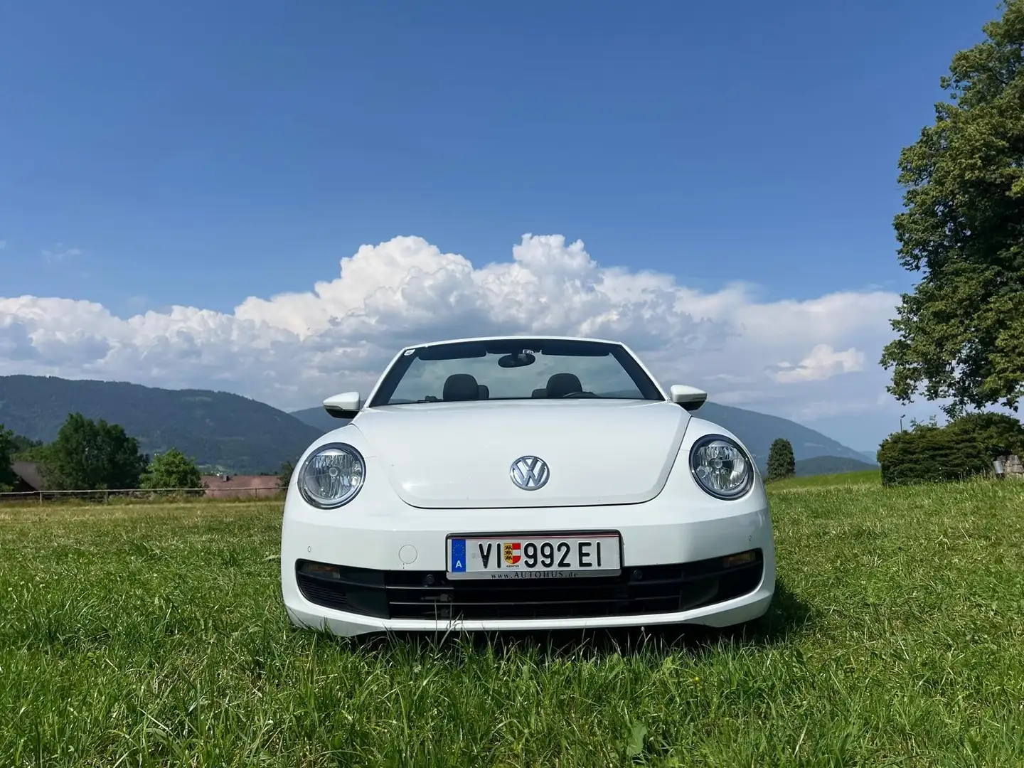 Volkswagen Beetle Beetle Cabrio 1,2 TSI Trendline Trendline Weiß - 2