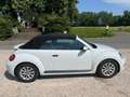 Volkswagen Beetle Beetle Cabrio 1,2 TSI Trendline Trendline Weiß - thumbnail 11