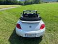 Volkswagen Beetle Beetle Cabrio 1,2 TSI Trendline Trendline Weiß - thumbnail 4