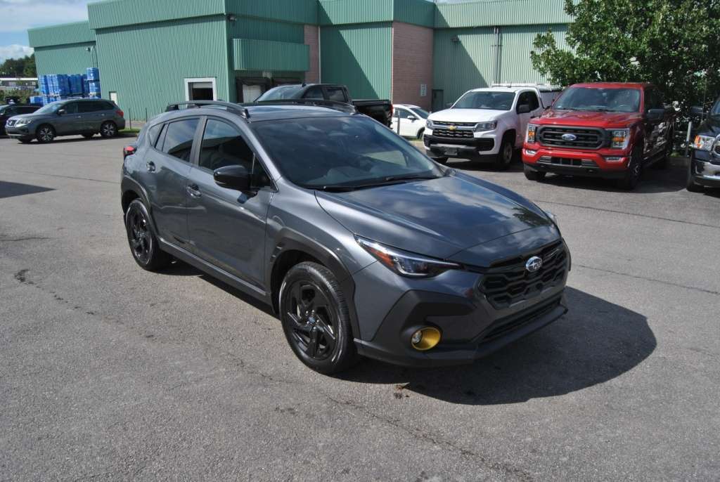 Image 6