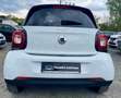 smart forFour PRIME*VOLLLEDER*PANO*LED*AMBIENT*SHZ*KLIMA*SERVICE Bianco - thumbnail 5