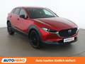 Mazda CX-30 2.0 Skyactiv G Mild-Hybrid Homura 2WD Rot - thumbnail 8