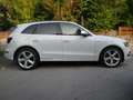 Audi SQ5 3.0 TDI quattro (8R) " S-Line" Blanco - thumbnail 3