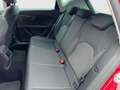 SEAT Leon XCELLENCE 2.0 TDI DSG LED NAVI SHZG PDC Tiptronic Roşu - thumbnail 11