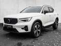 Volvo XC40 B3 2WD Plus Dark Sthz. Kamera Weiß - thumbnail 2