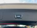 BMW X1 xDrive18d Aut. XLine *Tetto Apribile* Blanc - thumbnail 24