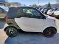 smart forTwo electric drive Passion White - thumbnail 4