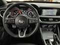 Alfa Romeo Stelvio 2.2 TD SPRINT GOMME NUOVE RETROCAMERA TAGLIANDATA Blau - thumbnail 9