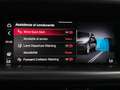 Alfa Romeo Stelvio 2.2 TD SPRINT GOMME NUOVE RETROCAMERA TAGLIANDATA Blau - thumbnail 46